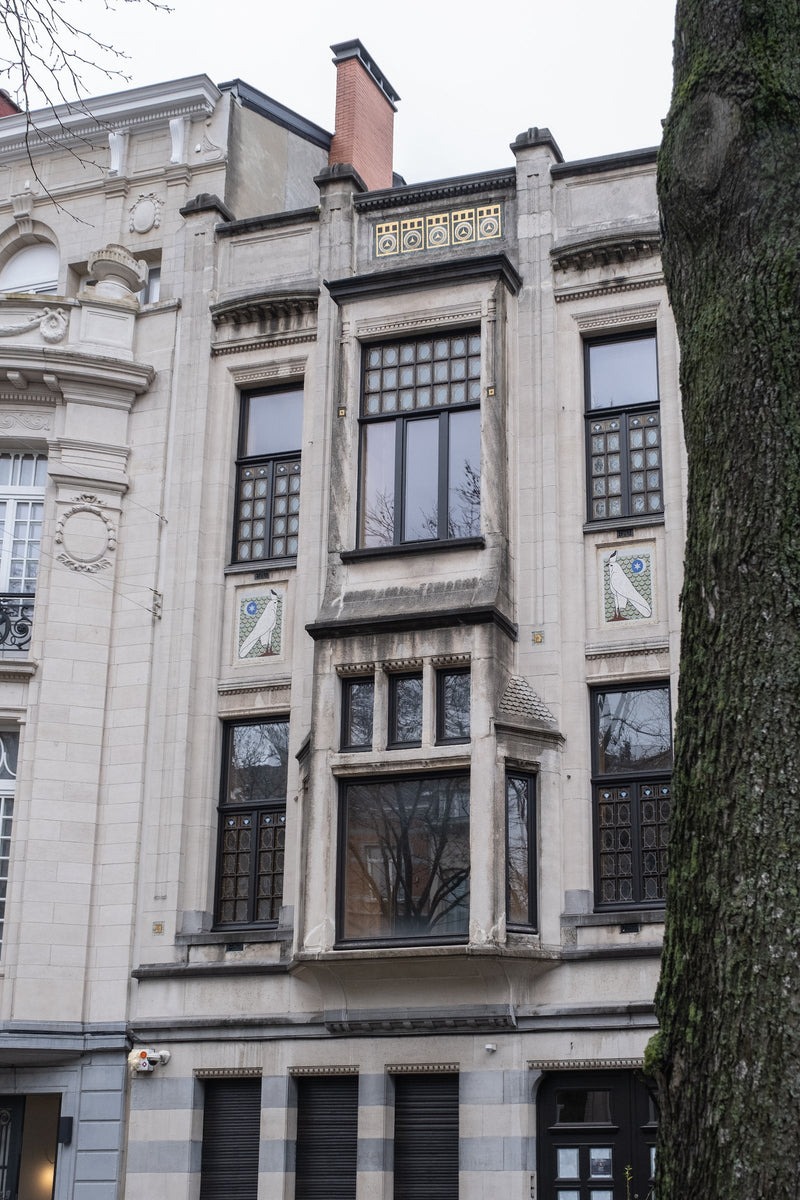 Quartier Brugmann - L'Art de Vivre in Brussels' most stylish area (digital book)