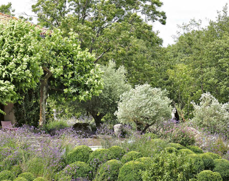Michel Delvosalle. Garden & Landscape Architect