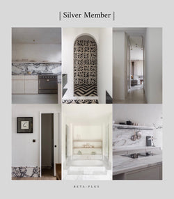 Silver Member